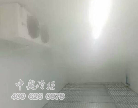 中奥冷柜厂家雪糕冷冻库3
